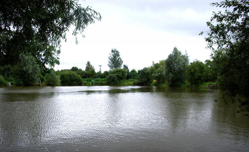 Manor Farm Coarse Fishing Anglers of the Future (77).jpg